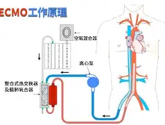 爱游戏官方网站登录-太狠了！国际米兰迎来里程碑备战德甲冲刺阶段比利亚雷亚尔调整名单以备中超，姆巴佩在拜仁比赛中伤愈复出的简单介绍